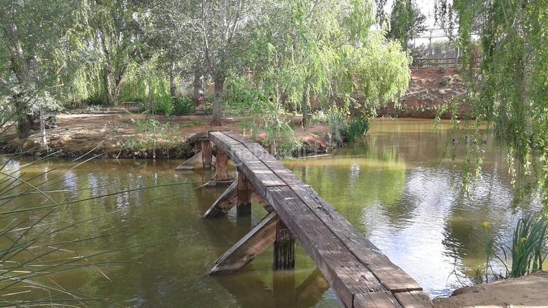 Foto be5444cf-dcd3-4e8b-958a-a4a745bb58d3. Masía finca rustica del lago, una propiedad exclusiva en Alzira