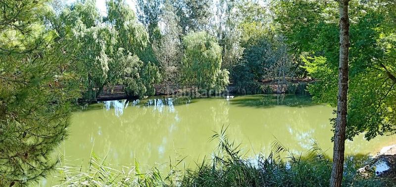 Foto c251abf4-6e1d-4520-9fd3-92616144ab5e. Masía finca rustica del lago, una propiedad exclusiva en Alzira