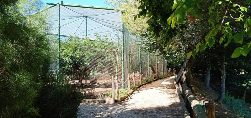 Foto c2f187ef-4154-4e2c-a837-8fe949bbf1fb. Masía finca rustica del lago, una propiedad exclusiva en Alzira