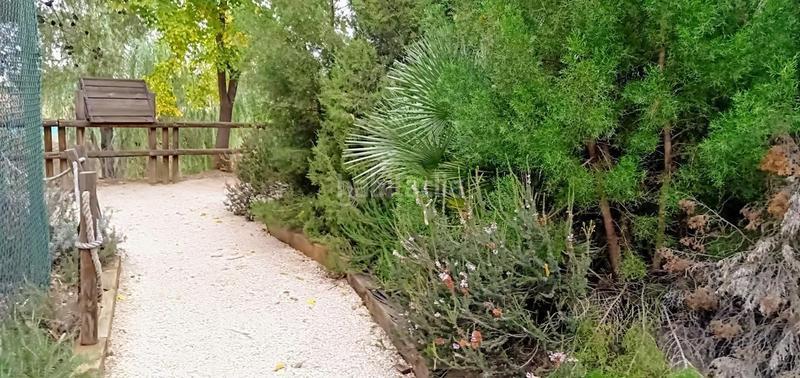 Foto c33b56e7-bd6e-4160-9ac0-29845f6bf5f5. Masía finca rustica del lago, una propiedad exclusiva en Alzira