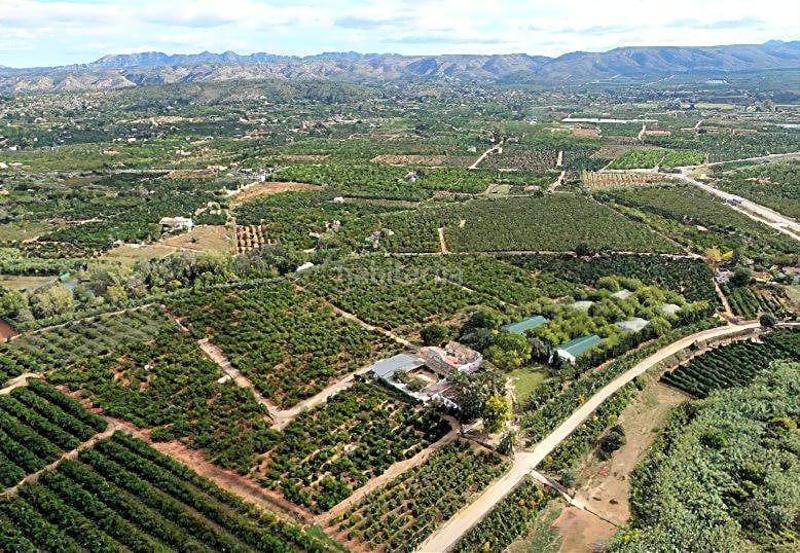 Foto cb167c5a-ac19-48ed-95c8-dfb75199177a. Masía finca rustica del lago, una propiedad exclusiva en Alzira