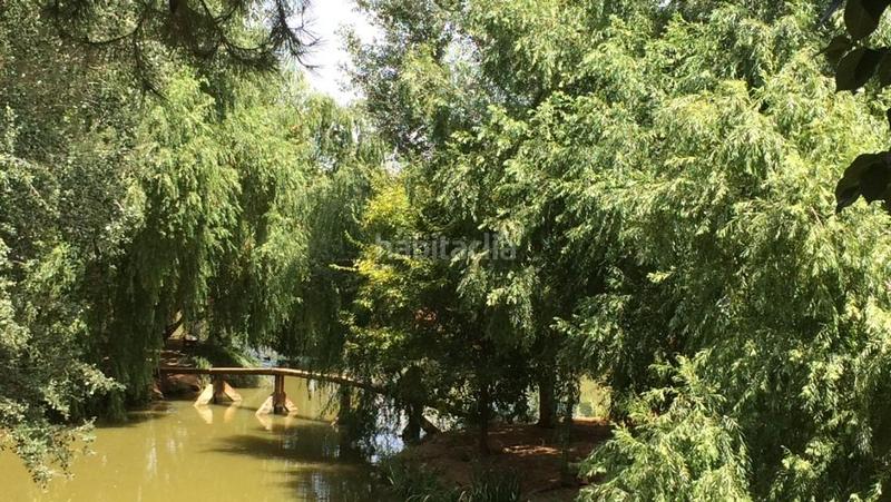 Foto d36740ed-9853-4590-9ad8-af2ba516a98c. Masía finca rustica del lago, una propiedad exclusiva en Alzira