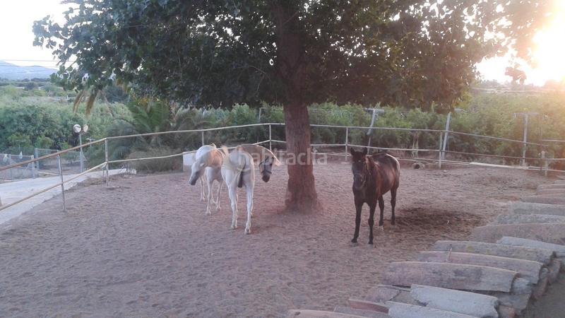 Foto e5c1e9bc-6dd4-4572-b2fe-1d3371613d1c. Masía finca rustica del lago, una propiedad exclusiva en Alzira