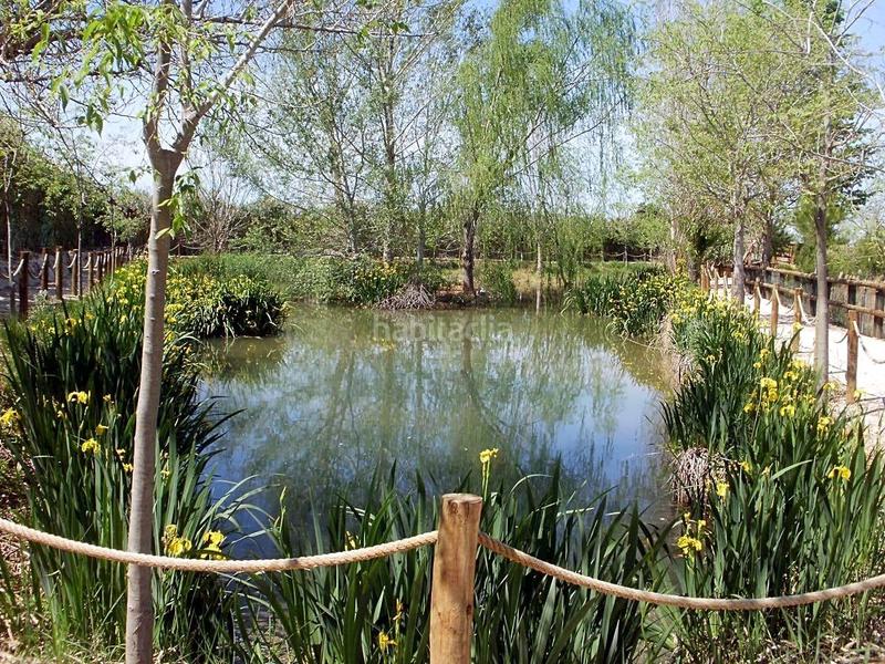 Foto fac8f5bd-1018-4c53-98b9-3b9151d14b56. Masía finca rustica del lago, una propiedad exclusiva en Alzira