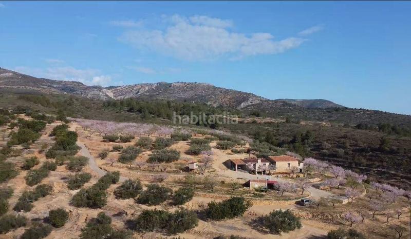 Foto 338da7c9-8279-4761-9c2c-090fe3b2a393. Mas dans polígono 24 12 dans Coves de Vinromà (les)