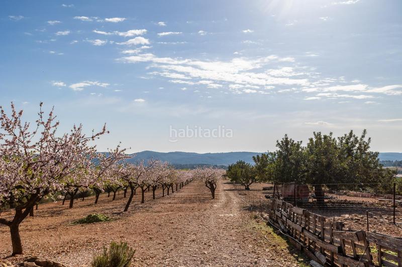 Foto 33da41c3-4391-45b4-8b67-d22c83c92b1c. Mas dans polígono 24 12 dans Coves de Vinromà (les)