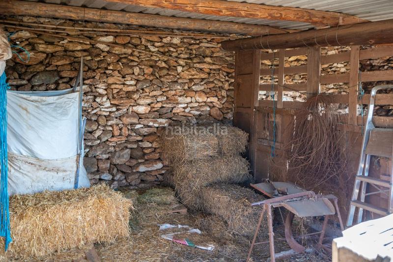 Foto 5853ad6c-525a-4685-bf0a-f8647cda993c. Mas dans polígono 24 12 dans Coves de Vinromà (les)