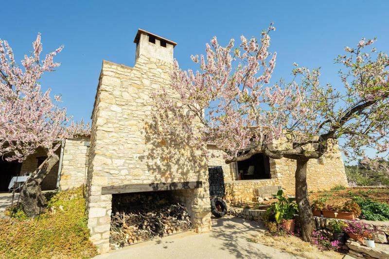 Foto 66c85937-7f78-4316-b52c-21aa2af3a8d4. Mas dans polígono 24 12 dans Coves de Vinromà (les)