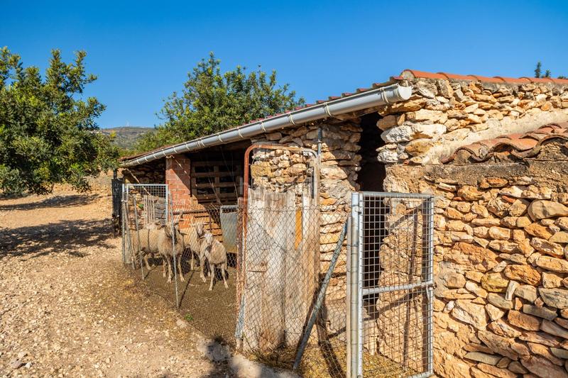 Foto 700e26de-75a8-42c3-abb3-08d5d92aff09. Mas dans polígono 24 12 dans Coves de Vinromà (les)