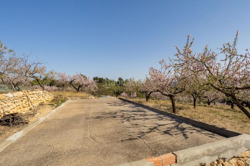 Foto bb94e317-93b6-4155-980f-e6134c805696. Mas dans polígono 24 12 dans Coves de Vinromà (les)