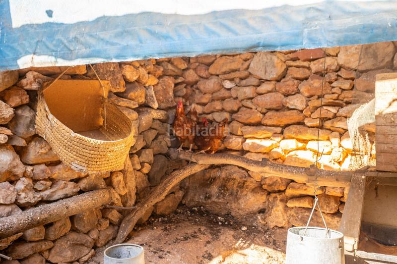 Foto bcb02857-adce-4df9-8767-734bc1f2f03a. Mas dans polígono 24 12 dans Coves de Vinromà (les)