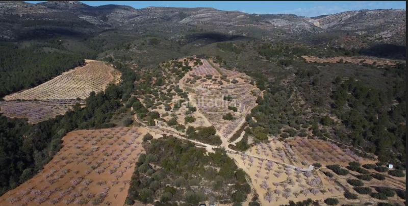 Foto c367554f-b31b-4748-b3ac-2d0657510fde. Mas dans polígono 24 12 dans Coves de Vinromà (les)