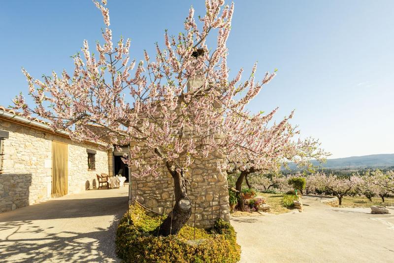 Foto e6da430a-c83c-4098-9186-f81239e4850e. Mas dans polígono 24 12 dans Coves de Vinromà (les)