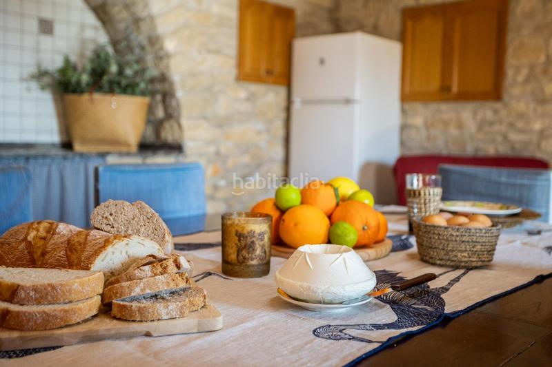 Foto fcaf6733-f884-42a7-b729-6770d415398a. Mas dans polígono 24 12 dans Coves de Vinromà (les)