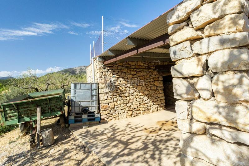 Foto fe9ae7a5-ce9d-4e8b-8d0d-e23a8235652a. Mas dans polígono 24 12 dans Coves de Vinromà (les)