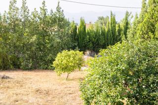 Xalet  Calle alberique. Vivienda con encanto en parcela urbana de 857 m