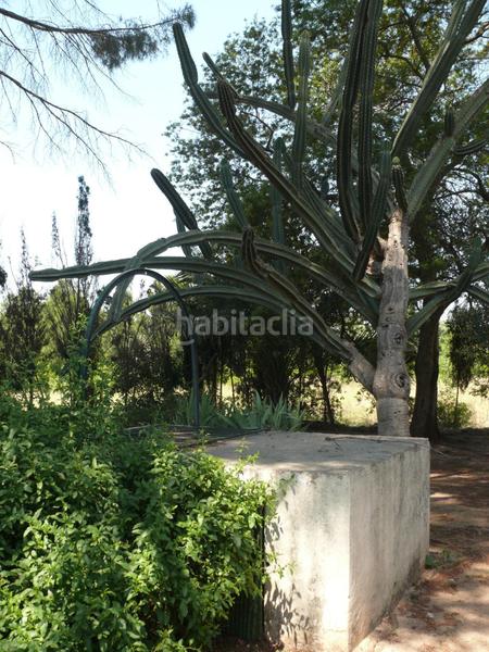 Foto 0edc998c-910e-4429-beec-7d4f4c084e99. Masia amb aparcament a Urbanitzacions i Pedanies Sud Alzira