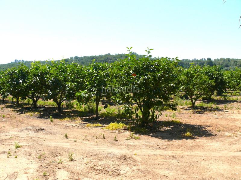 Foto 468bbabe-60e2-440c-a864-fe62b953f251. Masia amb aparcament a Urbanitzacions i Pedanies Sud Alzira