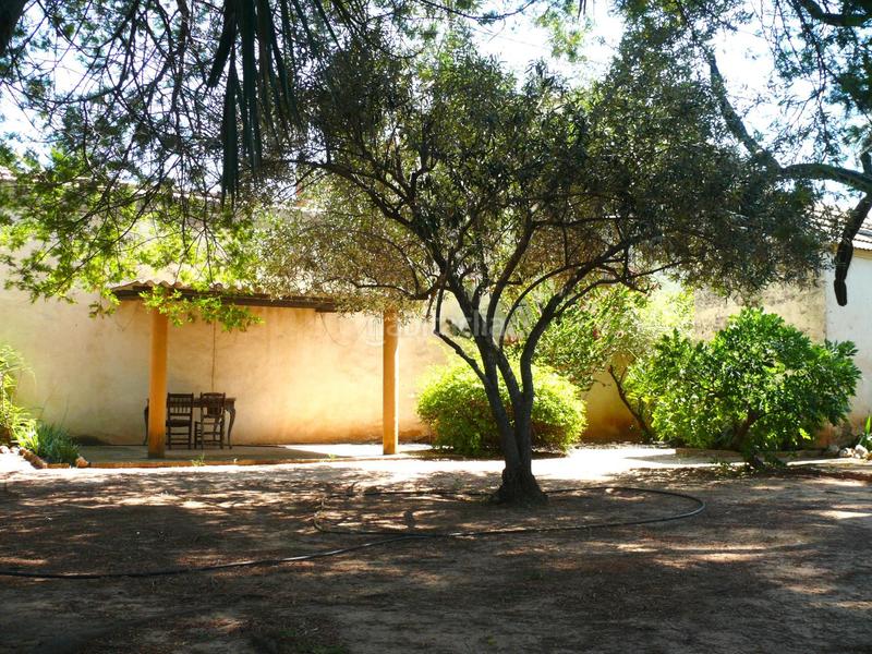 Foto 9a477334-8940-4185-a042-f3685129b414. Casale con parcheggio in Urbanitzacions i Pedanies Sud Alzira