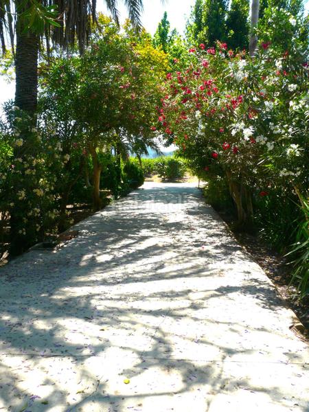 Foto c8a0bd8d-6b9b-449f-af8a-1c700ed577cc. Bauernhof mit parking in Urbanitzacions i Pedanies Sud Alzira