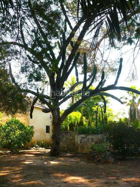 Foto f26796eb-6404-4394-aed6-a9a8f56a89d7. Masia amb aparcament a Urbanitzacions i Pedanies Sud Alzira