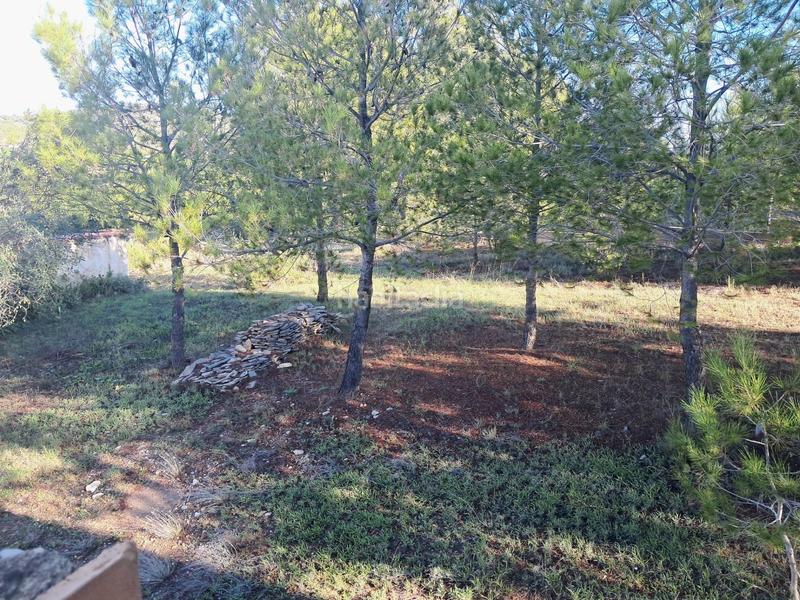 Foto 42aeae05-a1f0-4179-8a4c-e7abc65929db. Chalet in calle acàcies 2 in Casinos