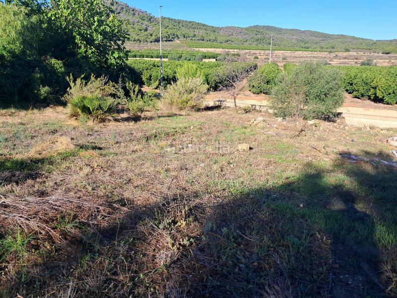 Foto b5041961-7898-400e-9c99-7c1a18d4e944. Chalet in calle acàcies 2 in Casinos