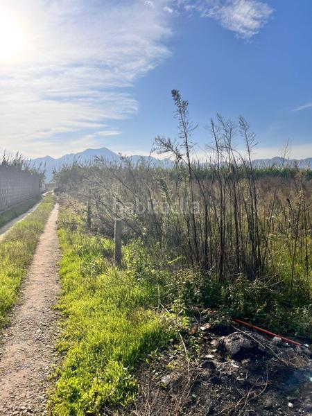 Foto 0841a19b-fdd0-49df-b730-856f4f6eba08. Fondo rustico in polígono numero 6 542 in Grau de Gandía-Marenys de Rafalcaid Gandia