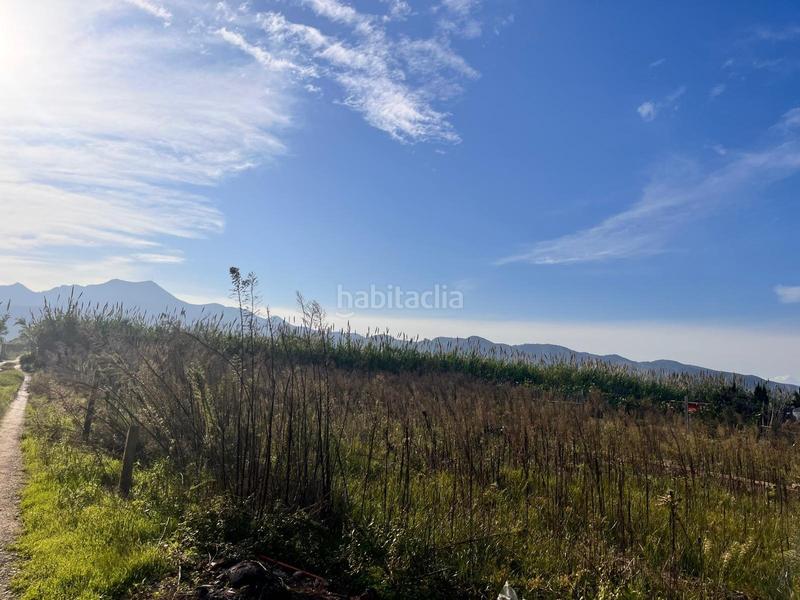 Foto 20796af1-ab68-4d47-9acd-5aaa227eacc7. Fondo rustico in polígono numero 6 542 in Grau de Gandía-Marenys de Rafalcaid Gandia