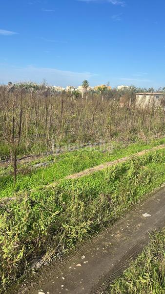 Foto 8afe2c86-dcfc-45a1-ad92-8178a52709b4. Fondo rustico in polígono numero 6 542 in Grau de Gandía-Marenys de Rafalcaid Gandia