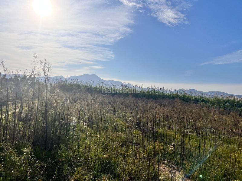 Foto c72162d3-ead0-474f-afec-6eb99999eb99. Fondo rustico in polígono numero 6 542 in Grau de Gandía-Marenys de Rafalcaid Gandia