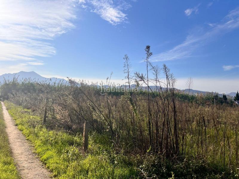Foto fb4be833-de1b-4310-a9e4-a59987f05be6. Fondo rustico in polígono numero 6 542 in Grau de Gandía-Marenys de Rafalcaid Gandia