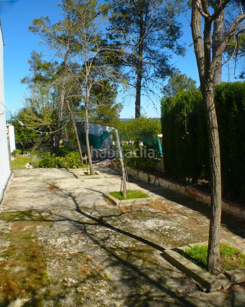 Foto 812982a4-ae5f-4297-889b-96e97da05786. Xalet amb calefacció aparcament piscina a Moixent