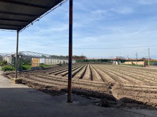 Casa a Meliana. Oportunidad única en la huerta de meliana vivienda en parcela ur