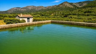 Finca rústica a Santa Magdalena de Pulpis. Finca rústica de 12.440 m2 con 490 naranjos valencia late en san