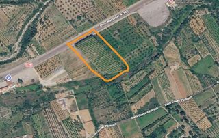 Finca rústica en Santa Magdalena de Pulpis. Finca rústica de 12.440 m2 con 490 naranjos valencia late en san