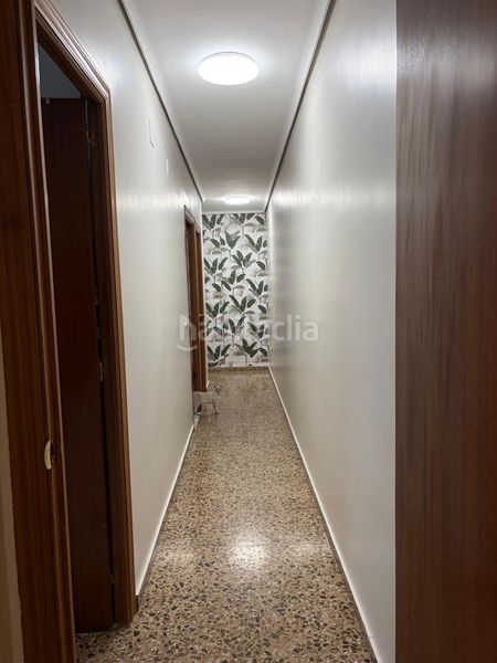 Foto f3c5e5b6-7b98-4c7f-998f-3677eecbb66f. Pis a Piscinas Burriana