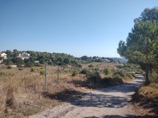 Fondo rustico in Carrera Villa de Montroy