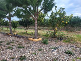 Proprit dans Montbri del Camp. Terreno rstico con casa