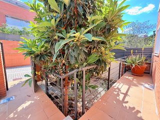Location Maison jumelée  Passatge del garrofer. ¡exclusiva casa esquinera en mas lluí! soleada, amplia y con esp