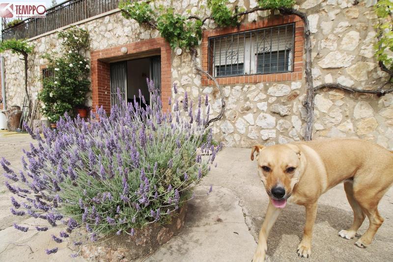 Foto fe47e9a6-c031-4dbc-8b2d-4ebf069c8215. Haus mit heizung parking in Bisbal del Penedès (La)