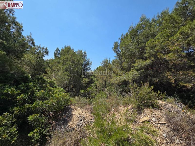Foto 7d1e8b2b-efc9-4394-b4e9-cd4c36cdfc5e. Terreny residencial a Valldemar-Montmar Segur de Calafell
