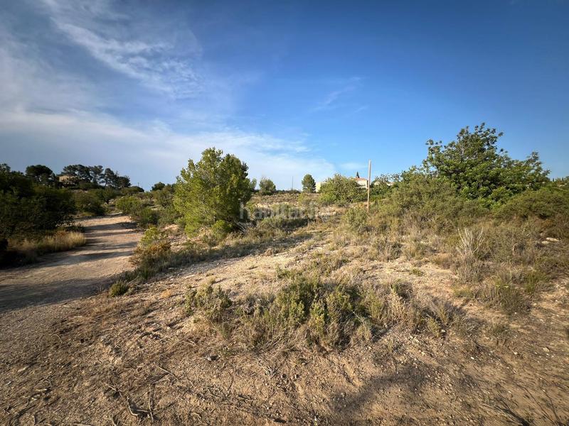 Foto 9f4bead4-db6e-4846-9121-997f82fcf1b5. Terrain résidentiel dans polígono poligono n-26 5 dans Benaguasil