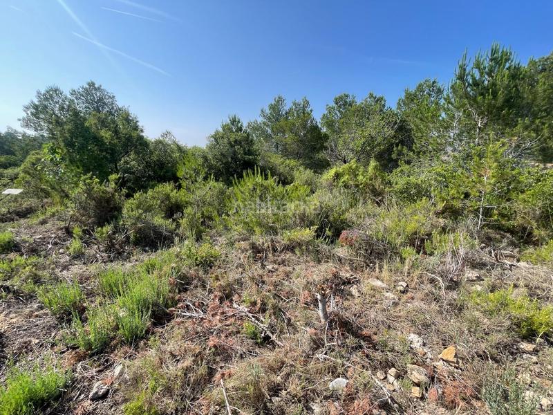 Foto 8a9afe16-26a1-4a02-b50e-33af371f7346. Propriété dans arrabal poligono el rincon 9 dans Buñol