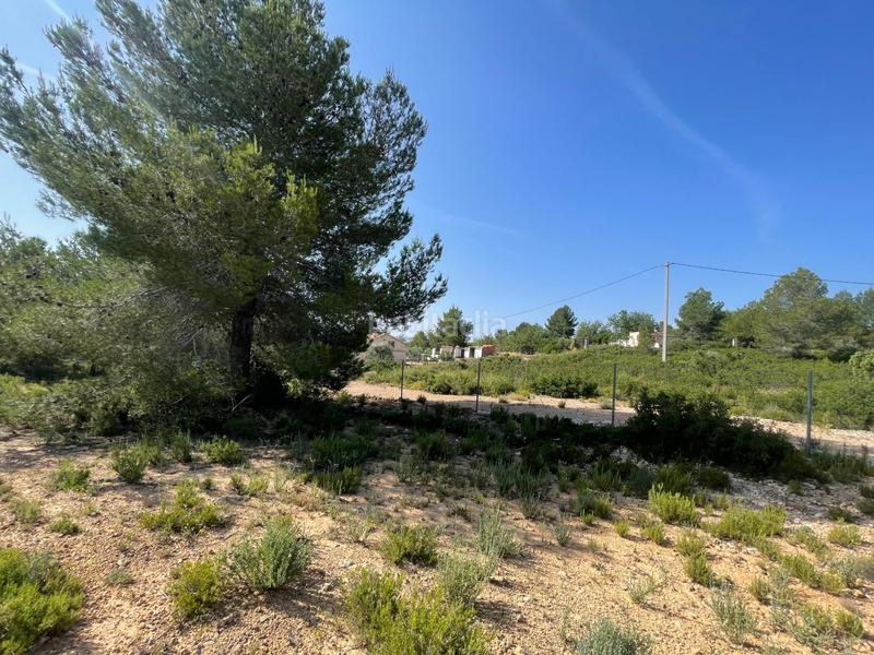 Foto f8e2e5d7-d3a9-4d7b-9191-b975a91757d3. Propriété dans arrabal poligono el rincon 9 dans Buñol