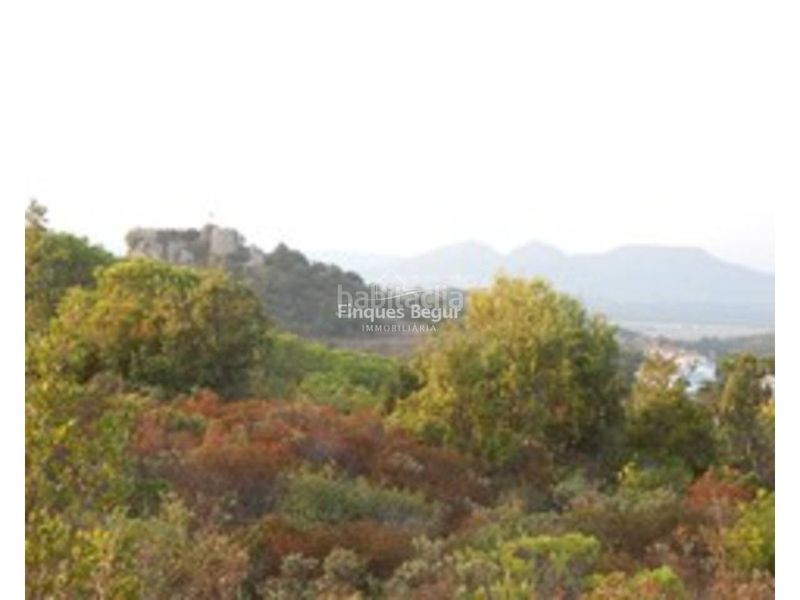 Foto 6fc509a0-4947-4275-b4fd-08d23bf5ff5c. Residential plot in camino semàfor 41 in Aiguafreda-Sa Tuna Begur