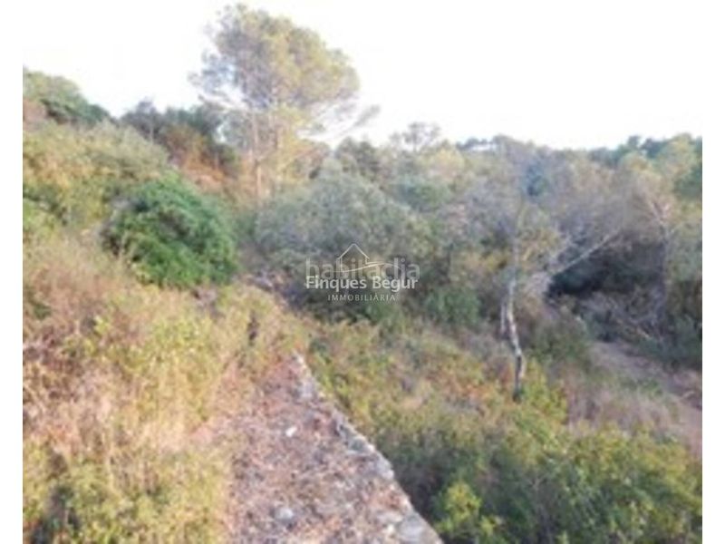 Foto b68c3c91-73cf-4cb0-9d08-0bb5b9b0c215. Residential plot in camino semàfor 41 in Aiguafreda-Sa Tuna Begur