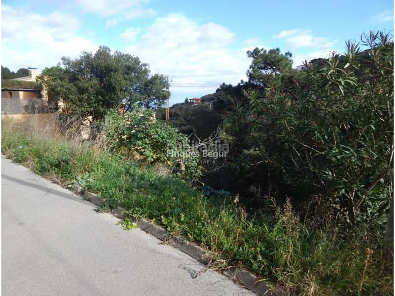 Foto 47e3d099-1376-438d-bdd2-356fe634e2e2. Residential plot in mas gispert 3-7 in Sa Riera-Sa Fontansa Begur