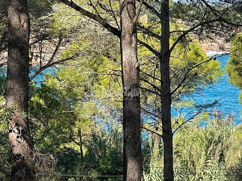 Foto 6bb21309-d6c0-42c1-a8a2-7cb7c02c4d91. Terrain industriel dans s´antiga 13 dans Sa Riera-Sa Fontansa Begur