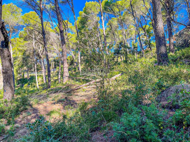 Foto 772f716e-c766-4c68-80e2-9688bd51ad21. Terrain industriel dans s´antiga 13 dans Sa Riera-Sa Fontansa Begur